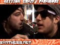 Synthesis.net Paramore Being Crazy 4 Episode #3