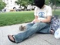 Do Not Feed The Animals