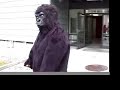 �hm - Guerilla?