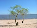 No a la Contaminación