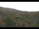 Green Ridge State Forest Green Ridge State Forest