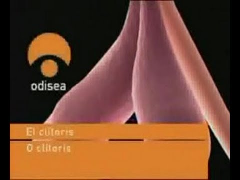 clitoris
