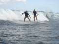 videos de BuffettSurfing