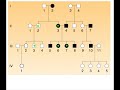 Nested Hierarchy: Evidence for Evolution