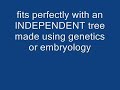 Nested Hierarchy: Evidence for Evolution