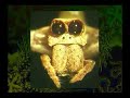 Nested Hierarchy: Evidence for Evolution