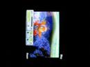 REAL Unlocked TRI-BAND PDA Mobile PHONE Work in USA CANADA REAL Unlocked TRI-BAND PDA Mobile PHONE Work in USA CANADA