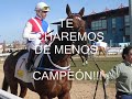 dr  garrido r i p   por dubai millennium 