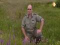 Lucien op vroege vogels
