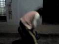 videos de estupida