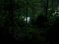 Wedowee Property I