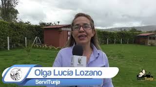 Invitación Jornada de Recolección Residuos Posconsumo en Tunja