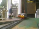 model railway - the churnhill belle
