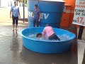 Banheira do Gugu em Graciosa Parte II