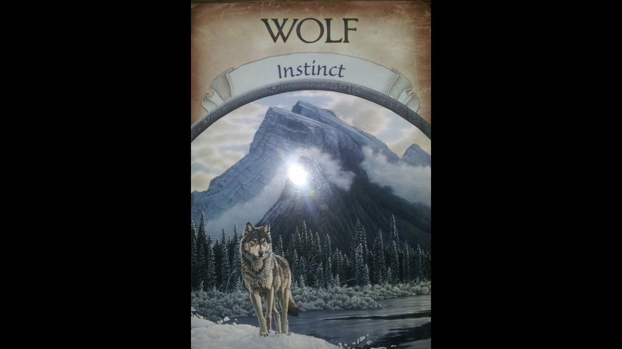 Wolf | Earth Magic Oracle Cards