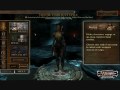 Dungeons and Dragons Online Gameplay