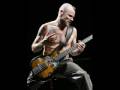 Red Hot Chili Peppers Dani California