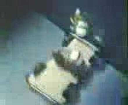 how to make a seat belt for an egg