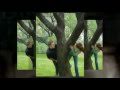 Video-Photo-Portfoli