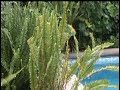 Test sony fx1