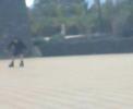 Empezando a Patinar