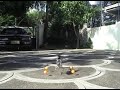 Walkera DF 60 5th Flight
