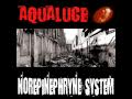 Aqualuce - Norepinephrine System