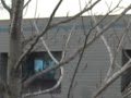 Air Force 1 taking off from Dane County Regional Airport
