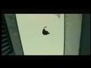 Le parkour - Ferny jumping walls