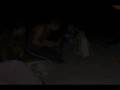 videos de Seven Productions - EL PASEO 1