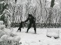 DOBERMANN VIDA GIOCHI SULLA NEVE