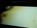 Spore Video 1