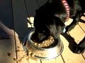 Thor The Messiest Eater