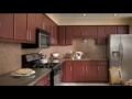 Video Thumbnail Image