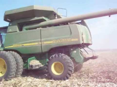 how to harvest popcorn