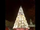 A maior arvore de Natal da Europa.E no Porto... fez-se luz A maior arvore de Natal da Europa.E no Porto... fez-se luz