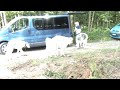 op wandel in de ardennen