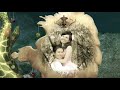 Click here to watch this video SAM & YEE 3D Prewedding Music Video