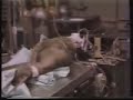 unnecessary-fuss-part-2.html