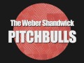Weber Shandwick's Pitch Bulls