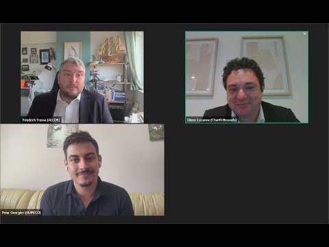 CharIN Tuesday EUROPE Triplet 2024: EU Post Elections - A Geographic Snapshot on the State of Affairs (Part 1)