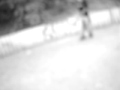 Journ�e Dans le Parc