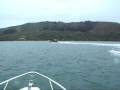 videos de Honda Marine and the WWF build further on their existing partnership