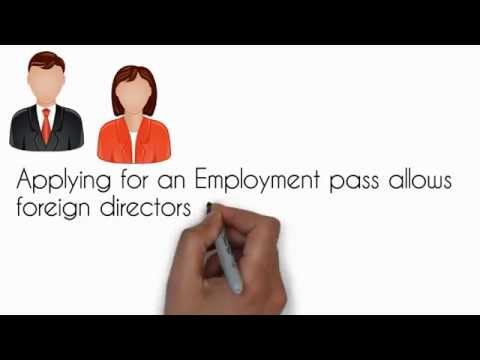 how to apply employment pass