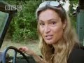 Lions awake wildlife with ferocious morning roars - BBC wildlife