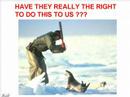 SOS, HELP .... THEY KILL US !!! SOS, HELP .... THEY KILL US !!!