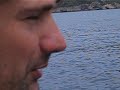Delfini a all\
