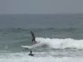 patou marbella surf club