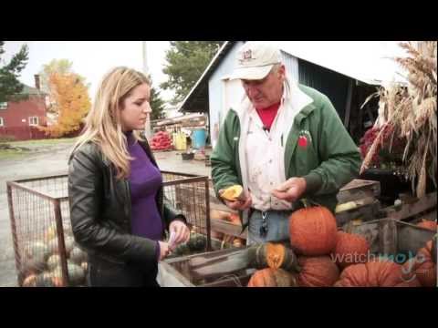 how to harvest squash and pumpkins