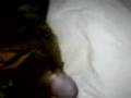 Pussy Action 